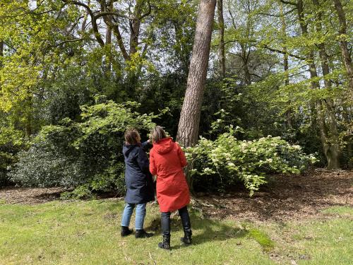 Mensen staan bij een boom